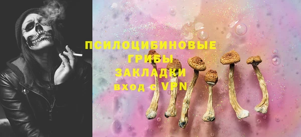 твердый Снежинск