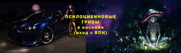 PSILOCYBIN Беломорск