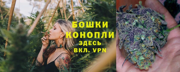 PSILOCYBIN Беломорск
